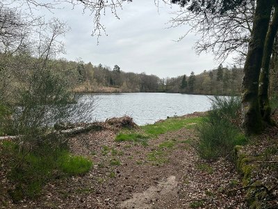 Tourbière des Dauges : découvrir des monstres ailés