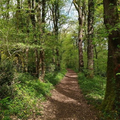 Les Bois de la Garenne