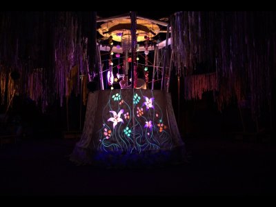 Spectacle PYEBWA : théâtre d'ombres et d'images animées