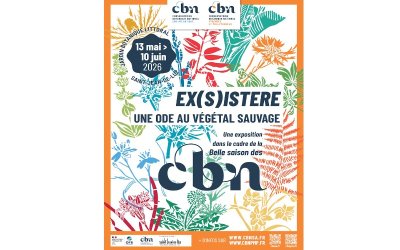 Exposition Ex(s)istere, une ode au végétal sauvage