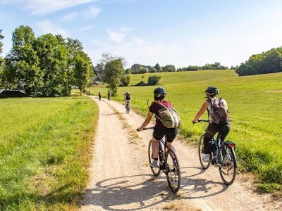 Circuit Gravel du Sundgau 55 km le Pays des étangs