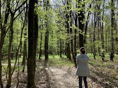 Circuit accès PMR - Balade le chemin des droit