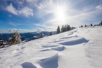 Piste bleue - Montabeau