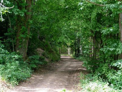Circuit du vignoble - Linsenberg
