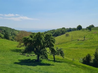Circuit accès PMR : le mini-moineau de la vue des Alpes