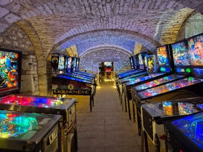 Visite du Château de la Hussardière - Découverte des flippers