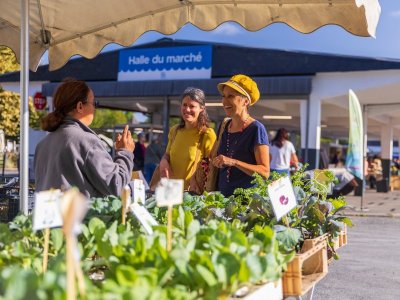Le stand "tourisme & loisirs" Coteaux Béarn Madiran s’invite au marché !