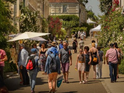 Festival des roses