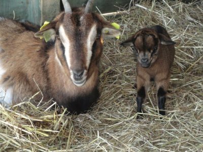 Fête de La Nature à Martillac