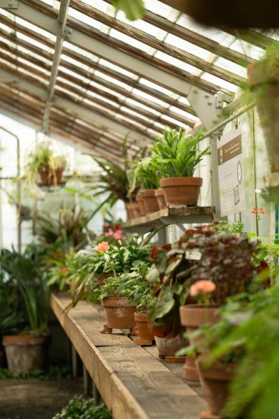 Les Floralies