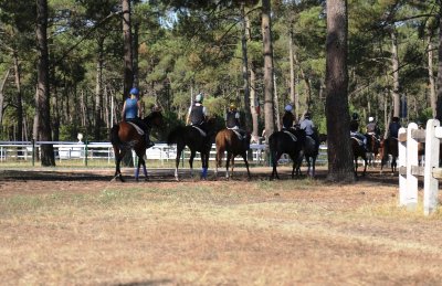 Visite du centre d’entraînement et coulisses de l’hippodrome