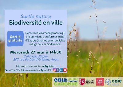 Balade découverte de la biodiversité en ville