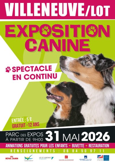 Exposition canine