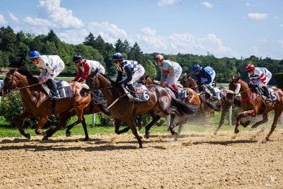 Courses hippiques : fête des mères