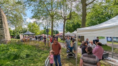 La nature dans tous ses états à Laon