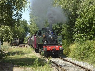 Activité : le Train Thur Doller Alsace