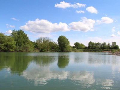 Etang de pêche Gé de l'Ill
