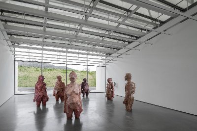 Stranger, Colin Davidson