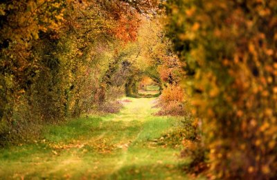Chemin de la Romance