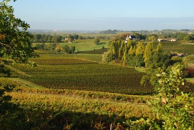 Boucle du Tertre de Fronsac