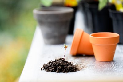 Programme du Mois de Juin  au Chai