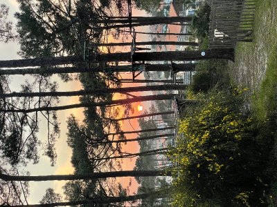 Deux nuits en forêt