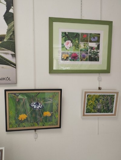 Exposition de Nikôl à l'office de tourisme de Saint Cyprien