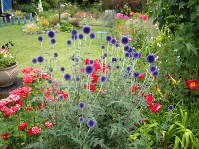 Au Paradis des fleurs et des oiseaux