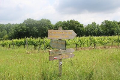 Circuit du Pin Franc de Pellegrue
