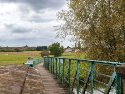 Les Rendez-vous Nature - Merveilles naturelles du marais