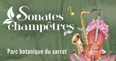 « A vos stylos ! C’est l’heure de la dictée »