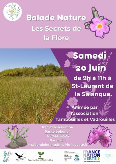 BALADE NATURE - LES SECRETS DE LA FLORE