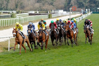 Courses hippiques