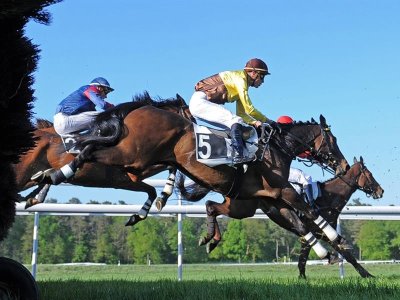 Courses hippiques