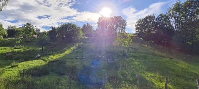 Visite guidée de la ferme