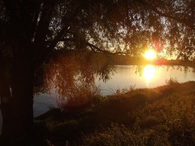 Matin d'été en bords de Loire