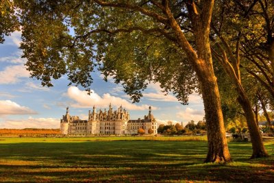 Chambord Live