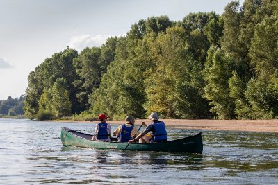 Sur les traces du castor et des oiseaux de la Loire en canoë
