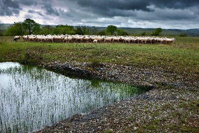 Exposition ParcourS, un regard sur le paysage