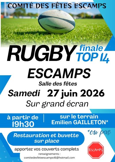 Retransmission en direct de la finale du top 14