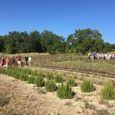 Visite de la ferme bio Neoherba