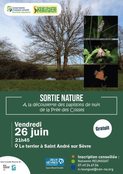 Sortie nature - Les papillons de nuit de la Prée des Cosses