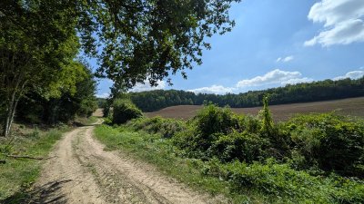 Sortie nature à Concevreux : "Rando-nature à Concevreux"