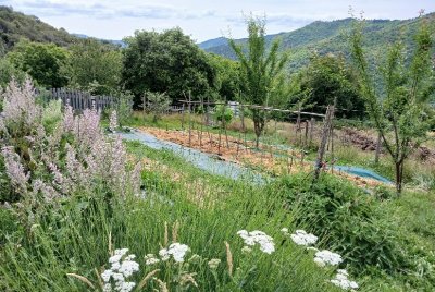 VISITE LES JARDINS DE BOUSSEGURES