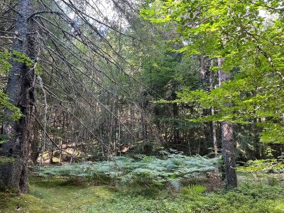 PRINTEMPS DES SENS - SÉJOUR OUÏE ET TOUCHER