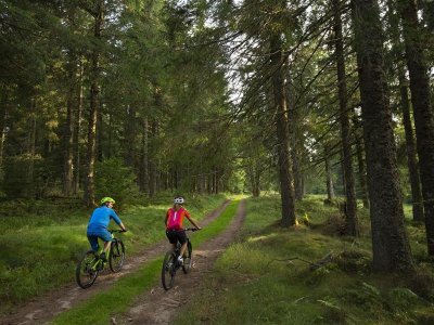 Circuit VTT 8 - le tour de Labaroche