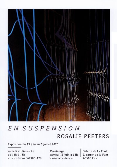 EXPOSITION : EN SUSPENSION