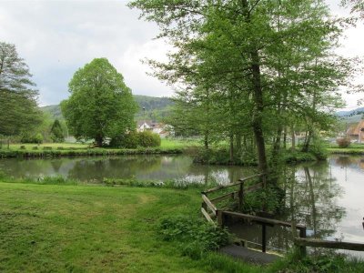 Pêche à l'étang