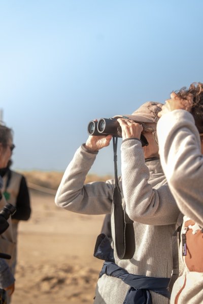 Visite guidée de la Dune du Pilat au Banc d'Arguin