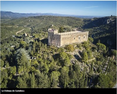 CHÂTEAU DE CASTELNOU